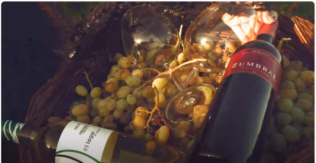Ana Alicia Ruíz Alta Costura y Bodegas Dimobe