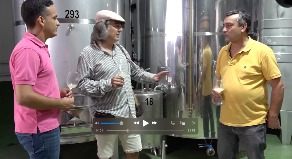 Wineman Málaga desde el monte hasta la playa BAJA