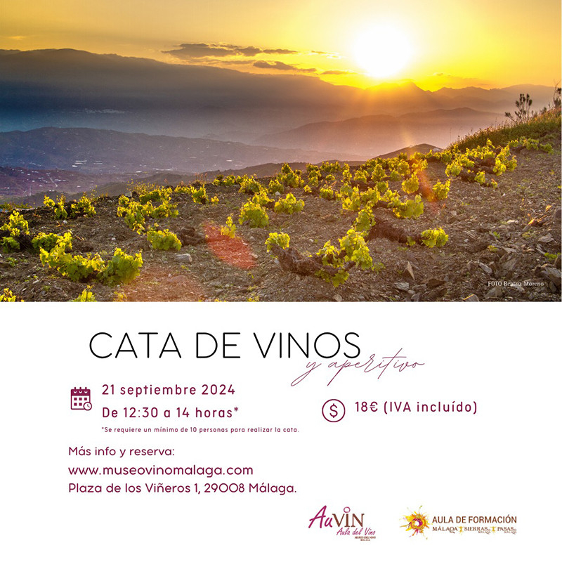 Cata de vinos y aperitivo 21 de septiembre en Museo del vino Málaga