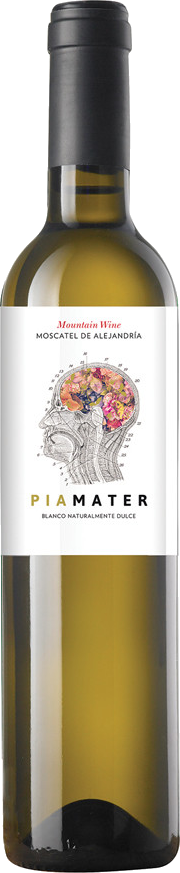 Piamater